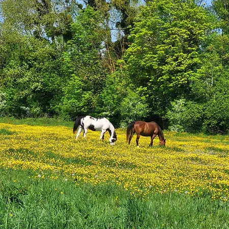 Privee Sur Marne *